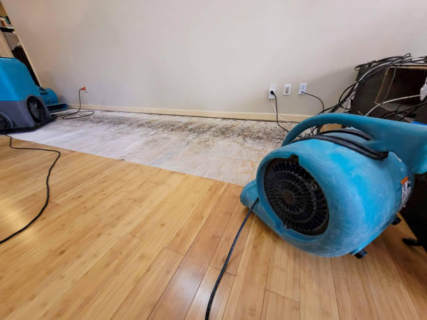 Professional Flood Damage Cleanup technician working in Islip Terrace, NY
